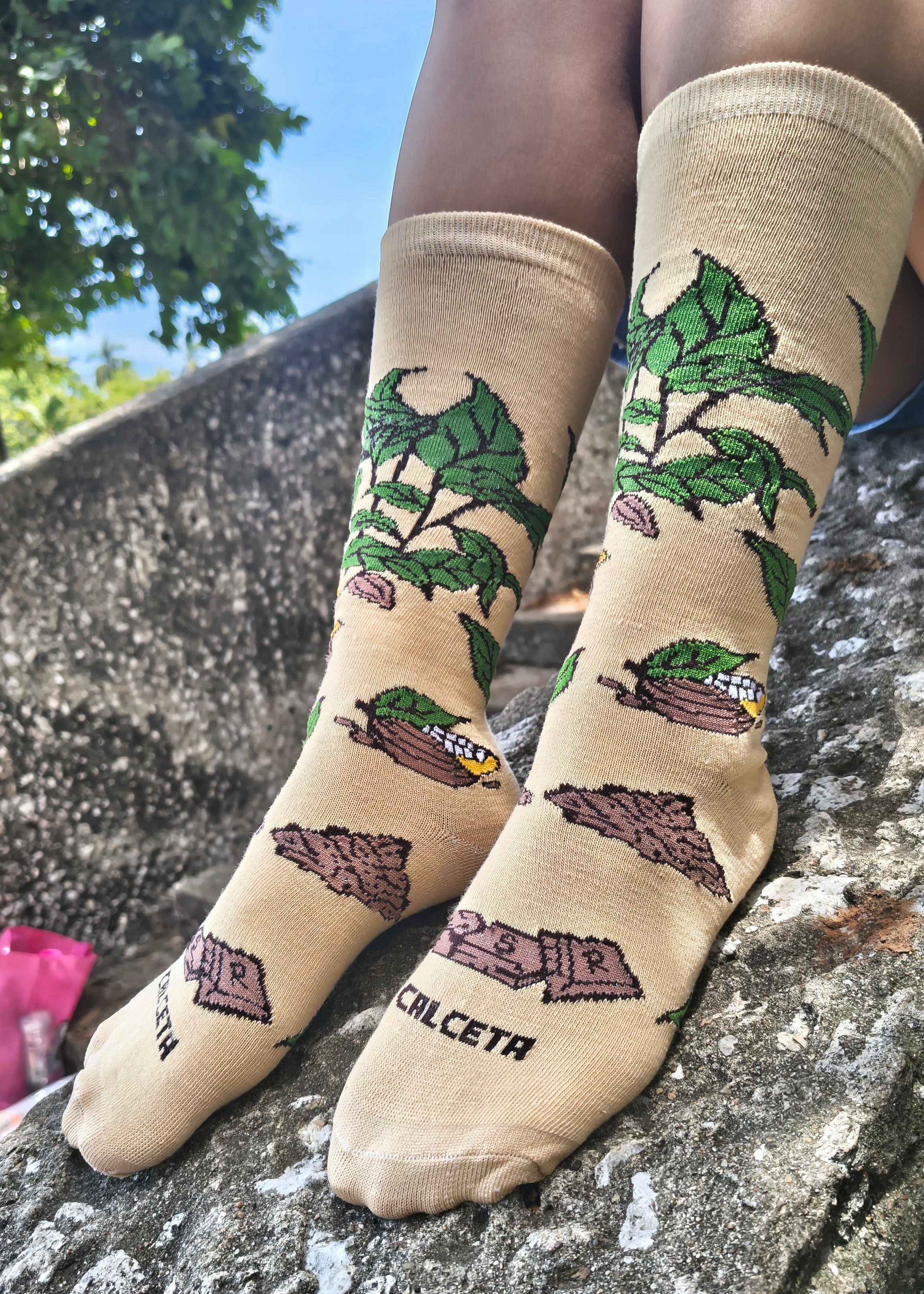 Cacao